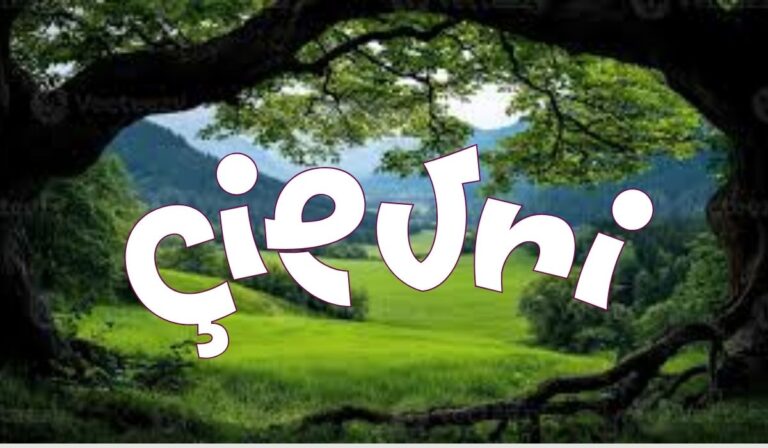 Çievri: A New Trend, a New Word, or a New Way of Thinking? - NEWS TAKER