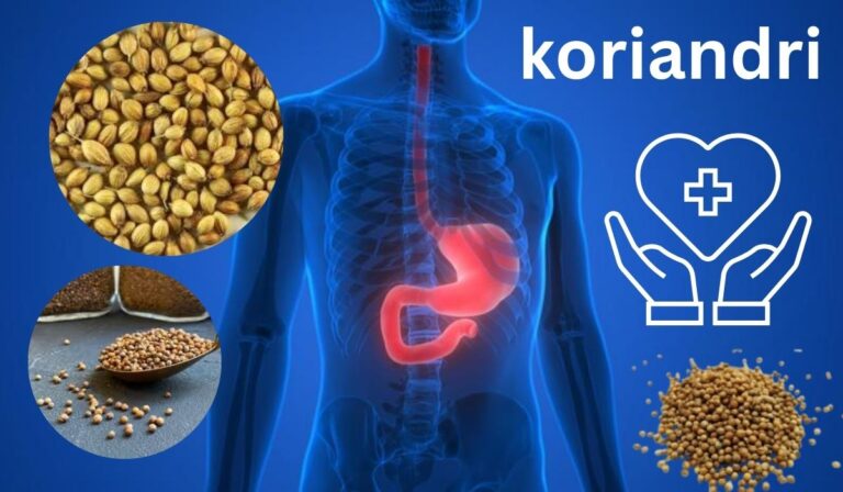 Koriandri