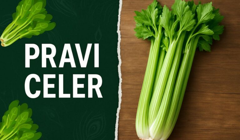Pravi Celer