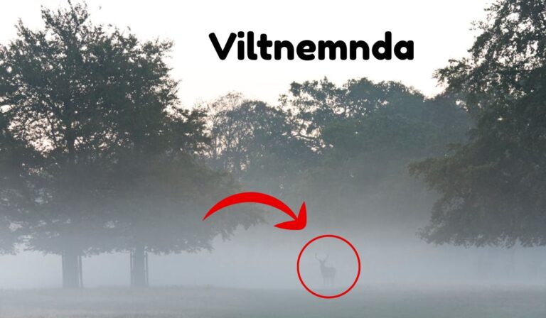 Viltnemnda