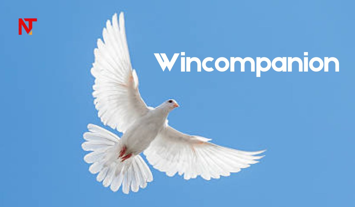 WinCompanion