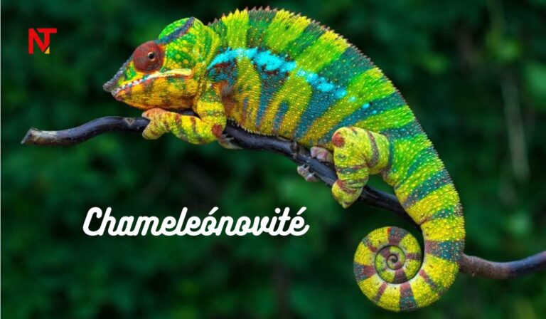 Chameleónovité