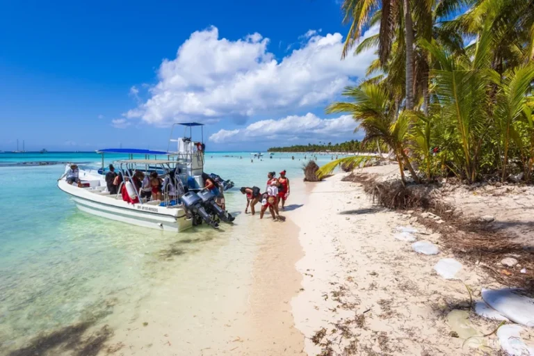 Saona Island Excursion: Best Things to Do