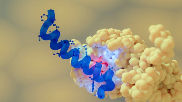 5 Signs You’ve Found The Best Peptide Company For Your Needs