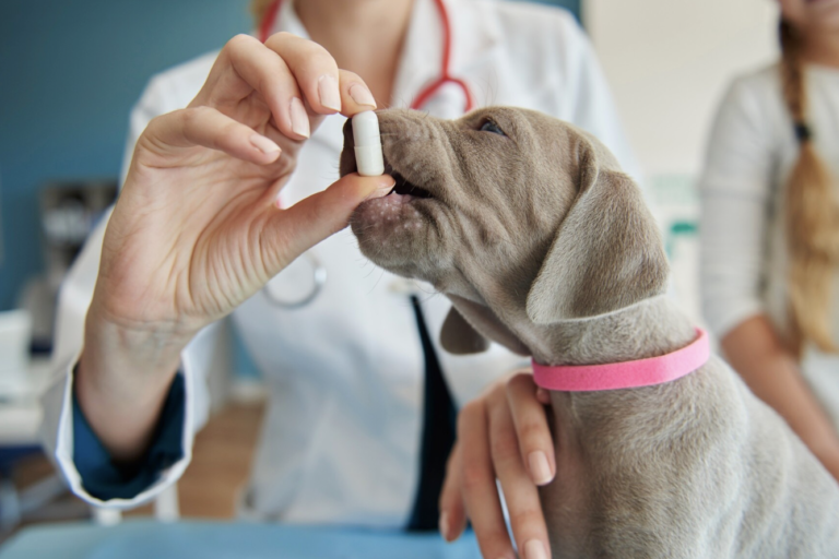 What a Topical Treatment Applied in Seconds Can Do for a Pet Over an Entire Month What a Topical Treatment Applied in Seconds Can Do for a Pet Over an Entire Month